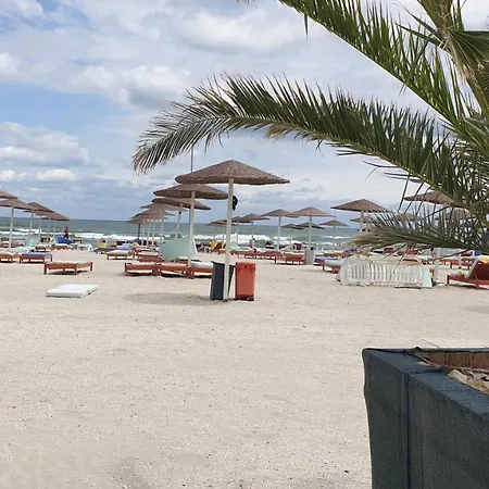 Rose By The Sea 那沃达利