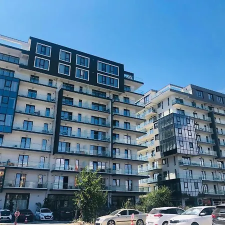 Rose By The Sea * 那沃达利